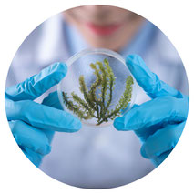 bioquímica
