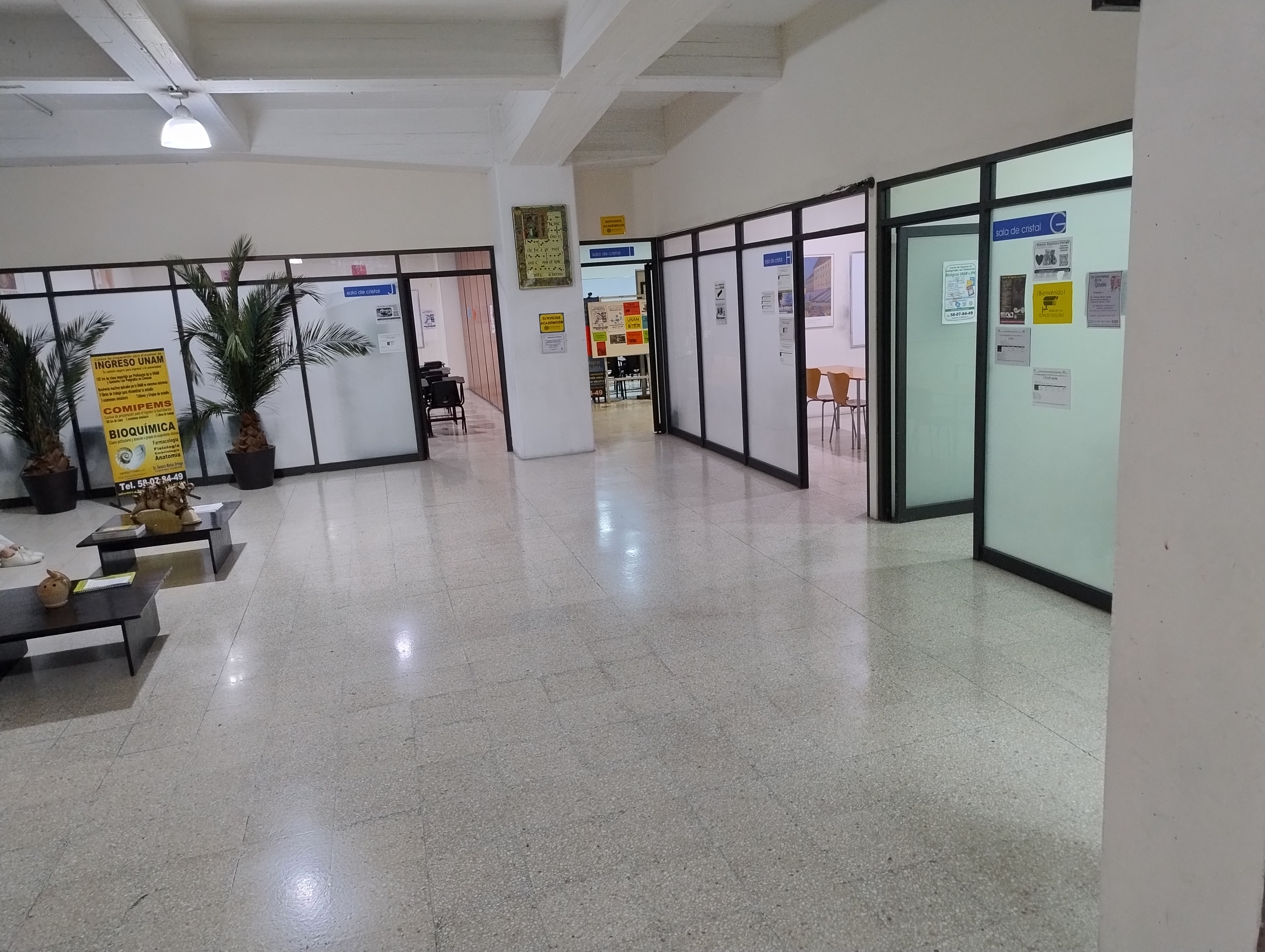 Posgrado UNAM